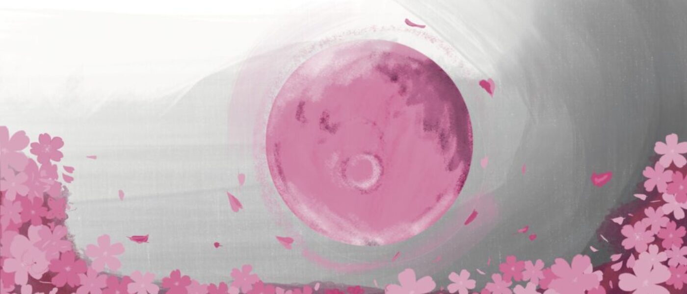 Volle maan ritueel april: Roze maan